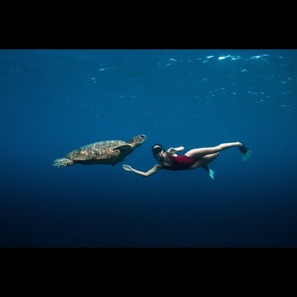 Meet your Posher, Aliyas - Picture 2 of 6